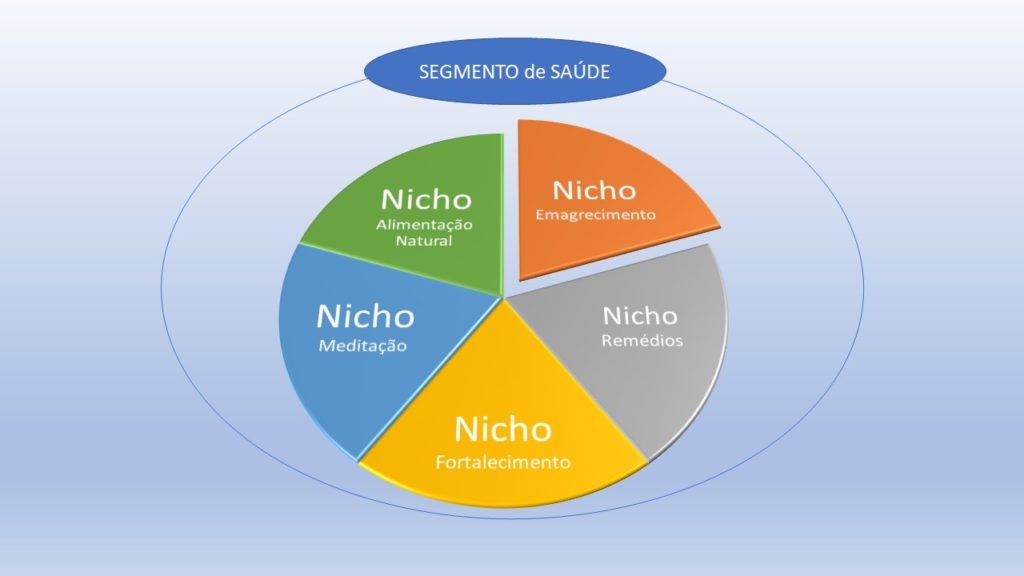 O Que Significa Nicho de Mercado? Veja Exemplos para Entender Melhor.